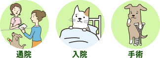 通院 入院 手術