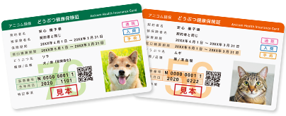 保険証 見本