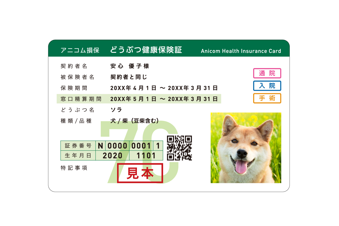 保険証 見本