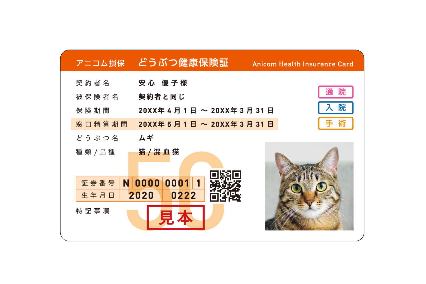 保険証 見本
