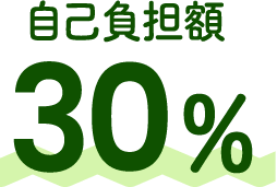 自己負担額 30%