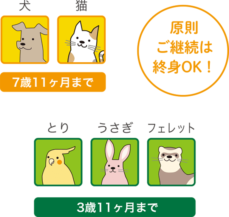 犬猫 7歳11ヶ月まで／とりうさぎフェレット 3歳11ヶ月まで／原則ご継続は終身OK！