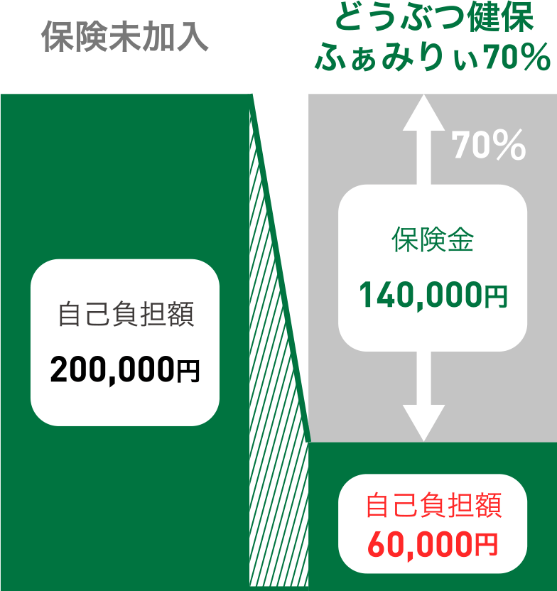 保険未加入 自己負担額200,000円／どうぶつ健保ふぁみりぃ70％ 保険金140,000円 自己負担額60,000円