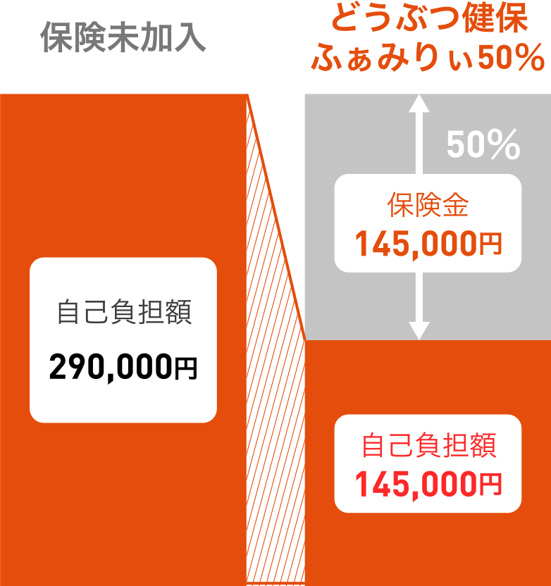 どうぶつ健保ふぁみりぃ50％