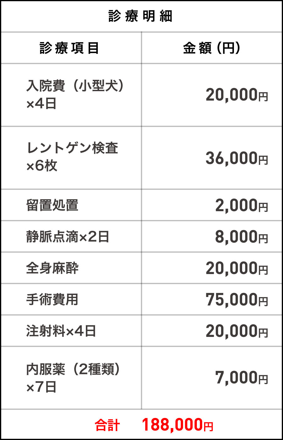 診療明細 合計188,000円