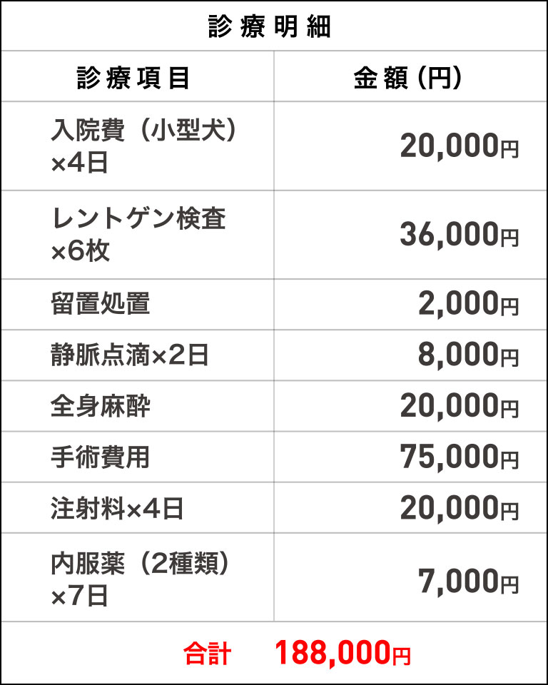 診療明細 合計188,000円