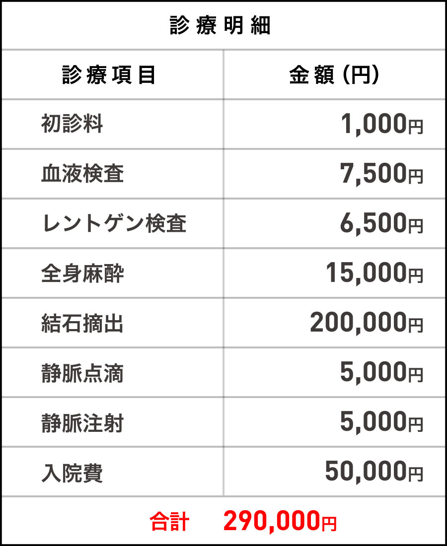 診療明細 合計290,000円
