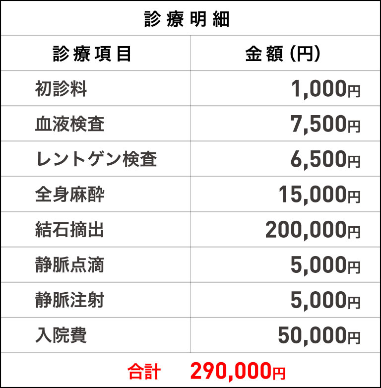診療明細 合計290,000円