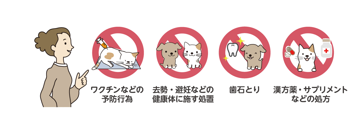 事例写真