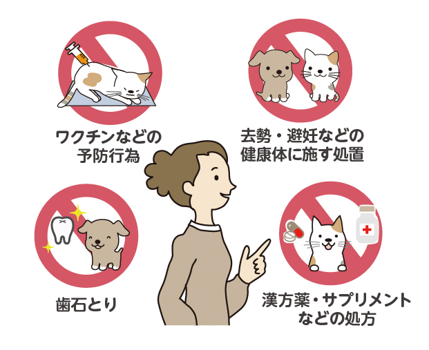 事例写真