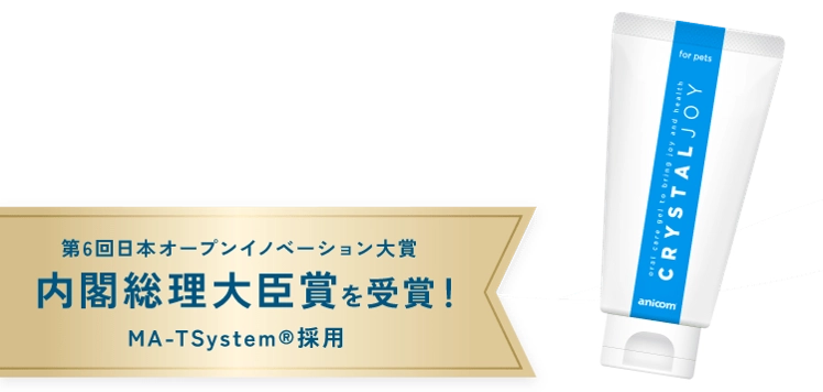 内閣総理大臣賞を受賞！