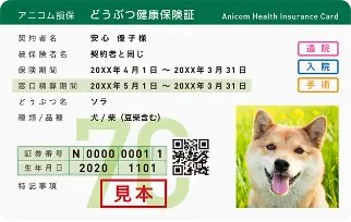 保険証の画像