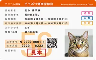 保険証の画像