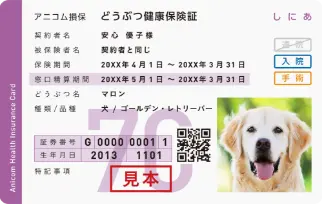 保険証の画像
