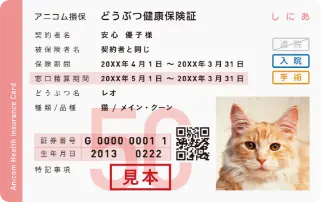 保険証の画像