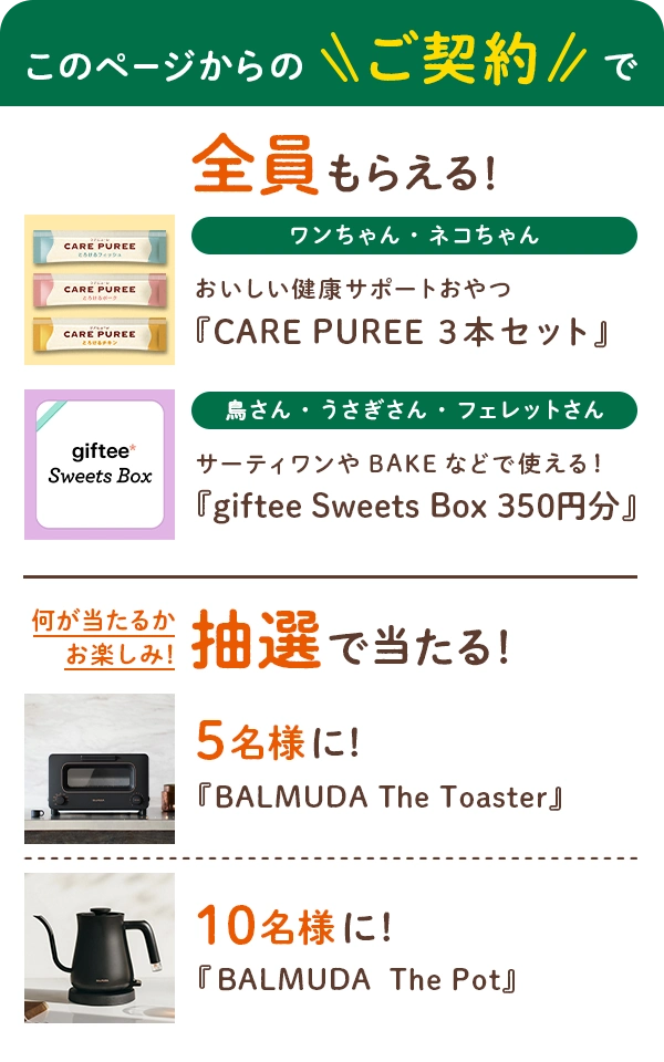 このページからのご契約で抽選で当たる!