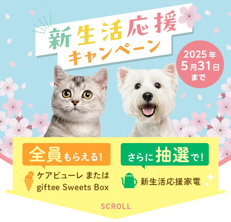 新生活応援キャンペーン