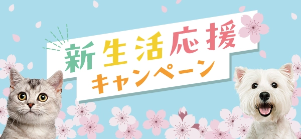 新生活応援キャンペーン