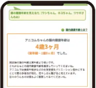 腸内健康年齢（犬・猫・うさぎ）