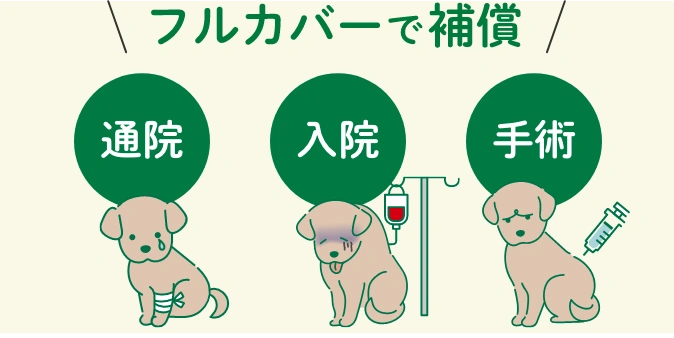 フルカバーで安心の補償 通院 入院 手術
