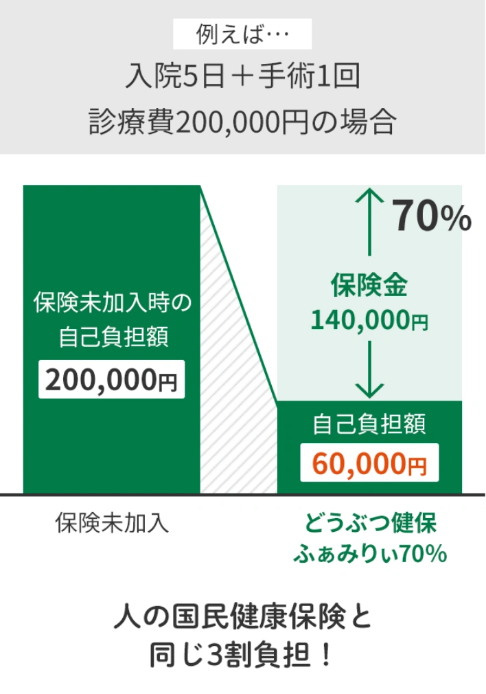 人の国民健康保険と同じ3割負担！