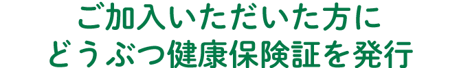 ご加入いただいた方にどうぶつ健康保険証を発行