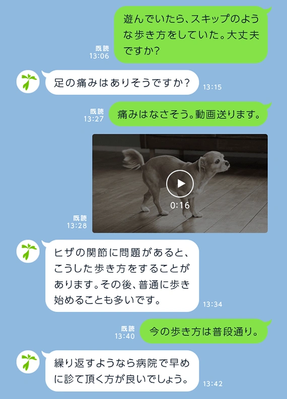 写真や動画を送っての相談も可能です。