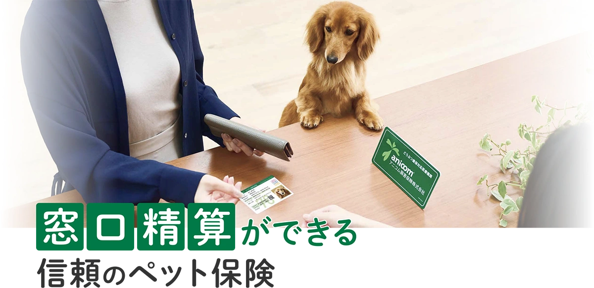 窓口清算ができる信頼のペット保険