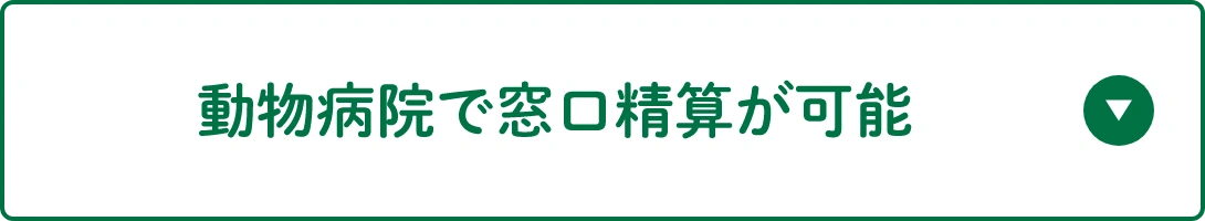 動物病院で窓口精算が可能