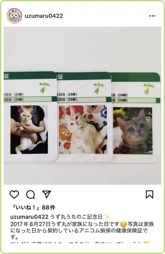 家族になった日から契約しているアニコム損保の健康保険証