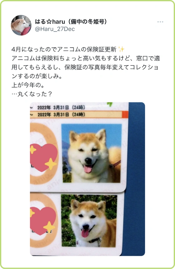 4月になったのでアニコムの保険証更新