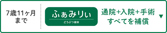 通院＋入院＋手術すべてを補償 7歳11ヶ月まで どうぶつ健保ふぁみりぃ