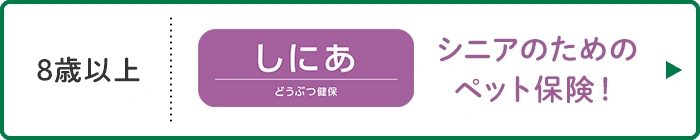 シニアのためのペット保険！ 8歳以上 どうぶつ健保しにあ