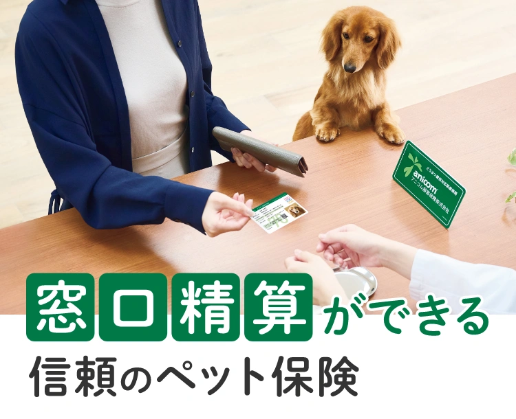 アニコム損害保険株式会社