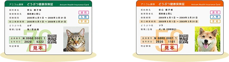保険証の画像