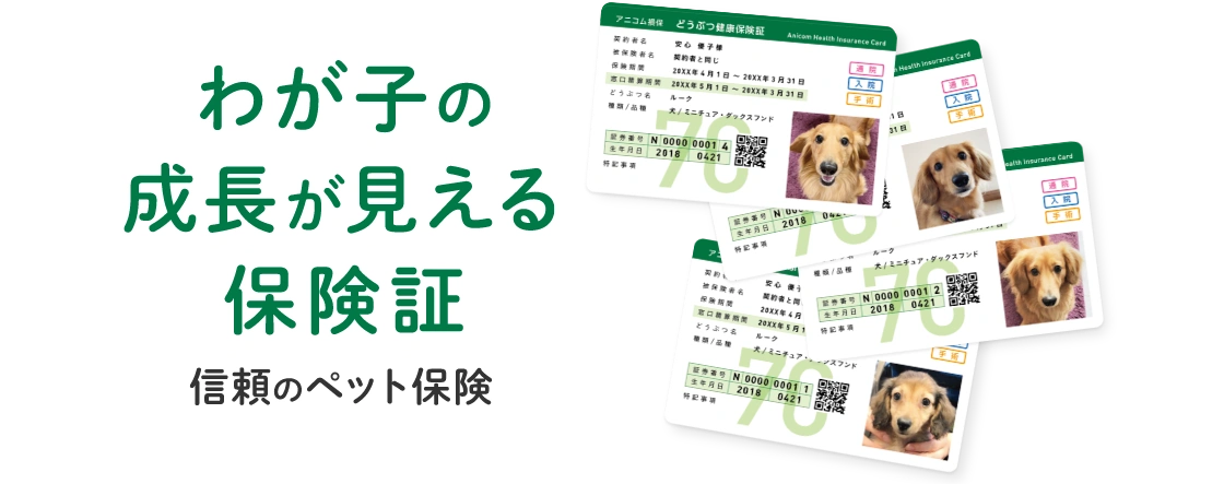 わが子の成長が見れる保険証！信頼のペット保険