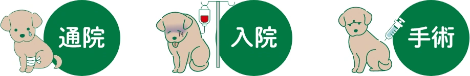 フルカバーで補償