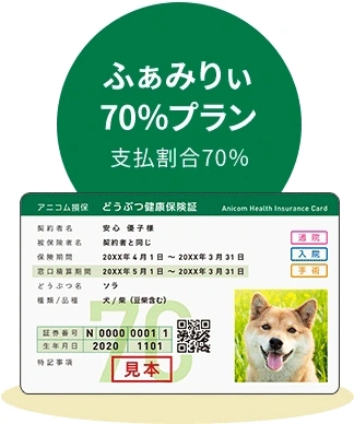 しっかり備える