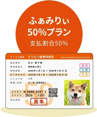 手軽に備える