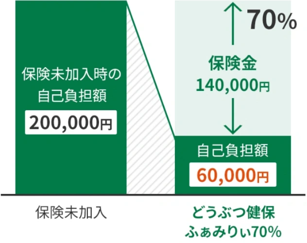 比較イメージ