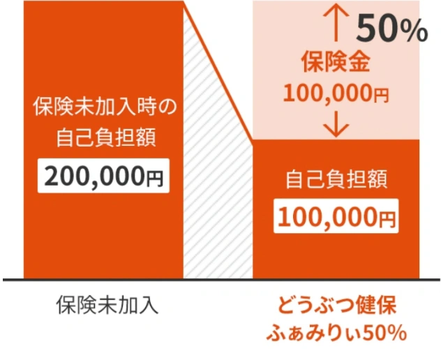 比較イメージ