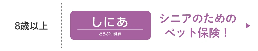 8歳以上 シニアのためのペット保険！