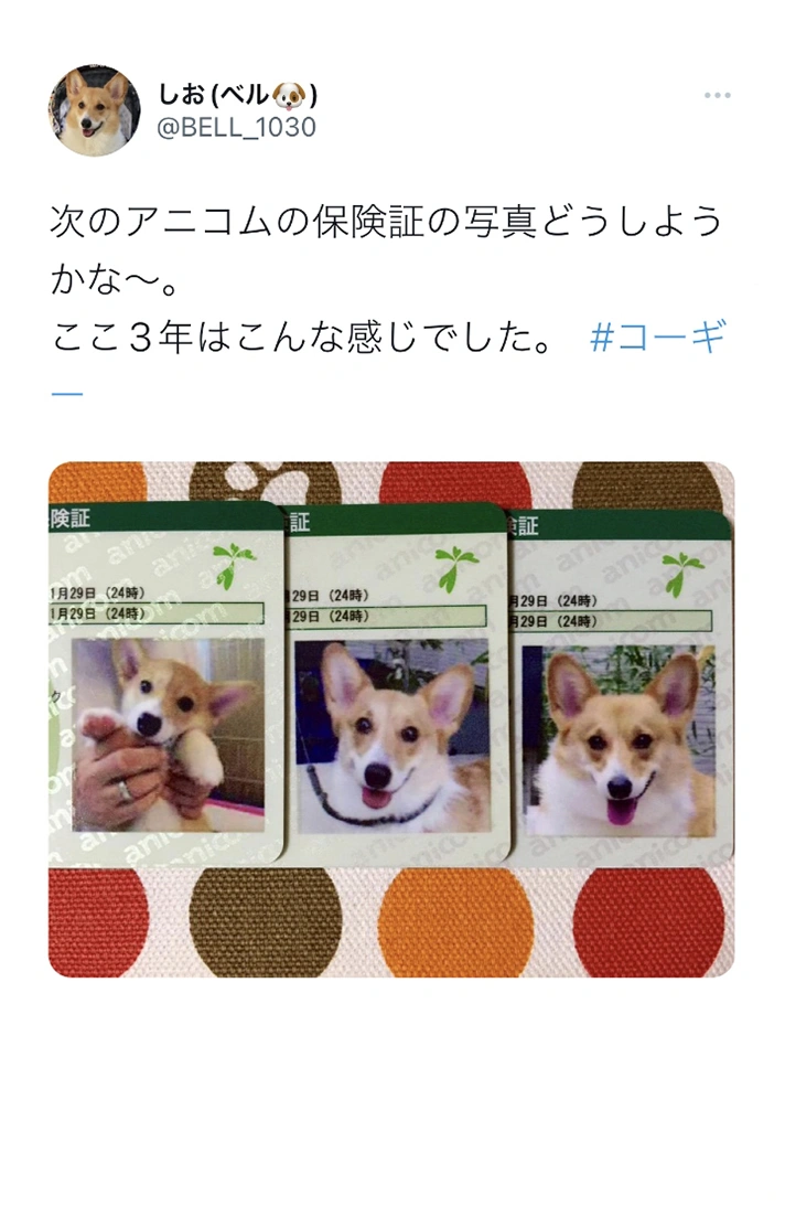 ソーシャル投稿
