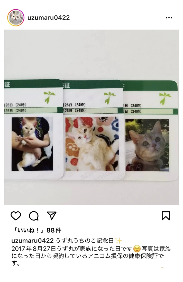 ソーシャル投稿