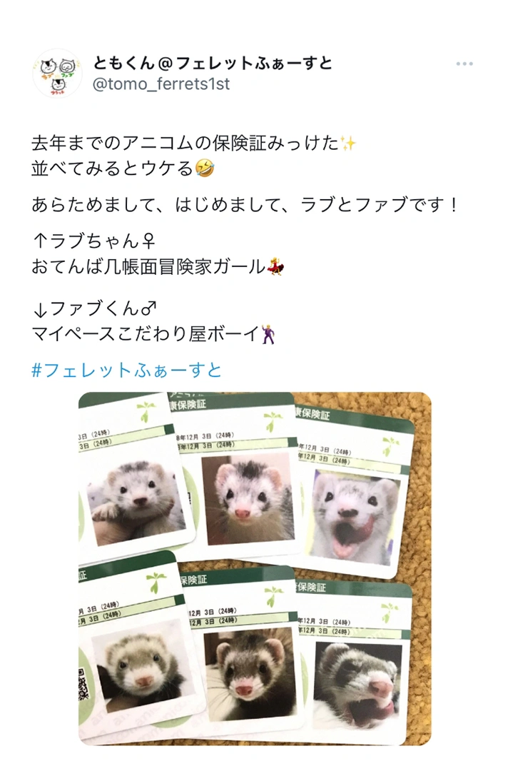 ソーシャル投稿