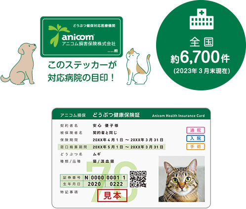 このステッカーが対応病院の目印 動物健康保険証