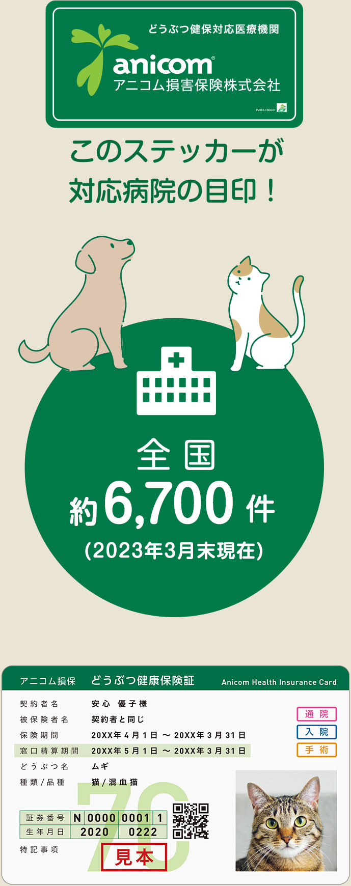 このステッカーが対応病院の目印 動物健康保険証