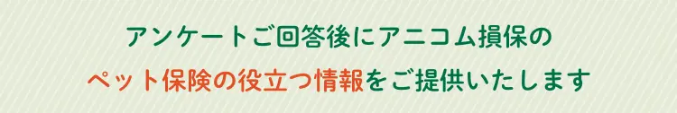 アンケートご回答後にアニコム損保のペット保険の役立つ情報をご提供いたします