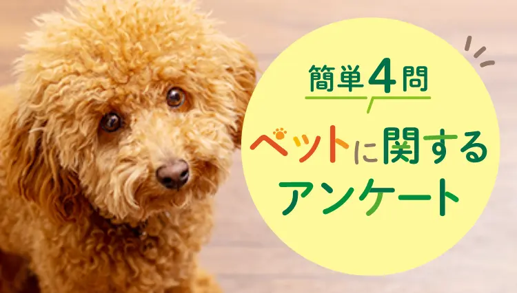 かんたん4問 ペットに関するアンケート