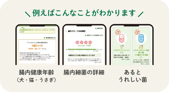 例えばこんなことがわかります